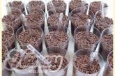 brigadeiro de copo