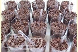 brigadeiro de copo